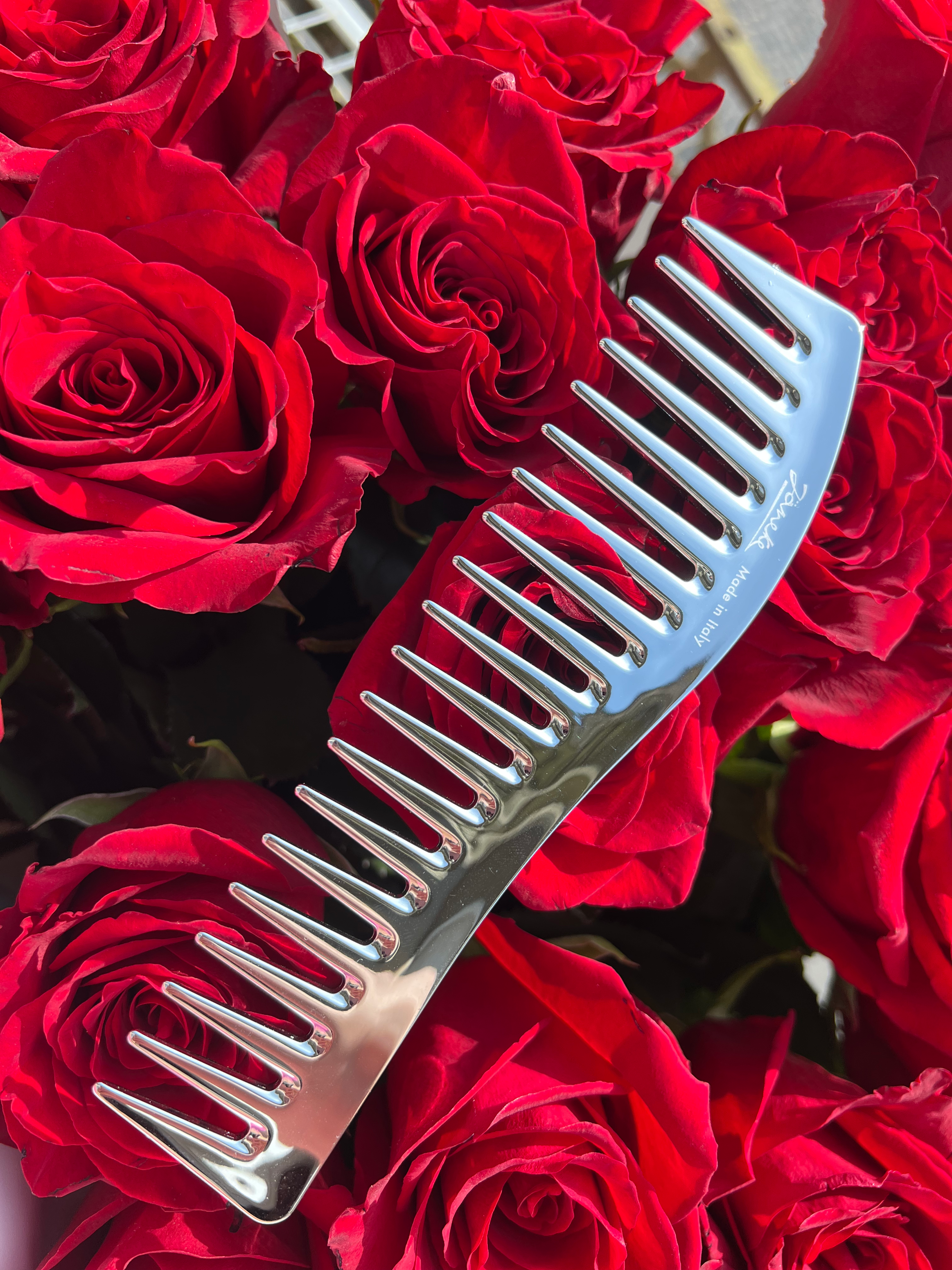 Janeke Chromium Comb